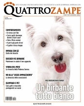 quattrozampe